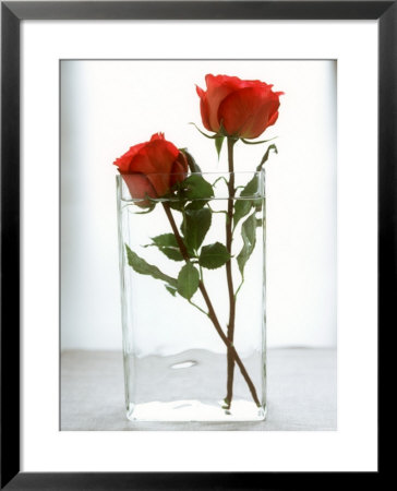 Two Red Roses In A Glass Vase by Michael Paul Pricing Limited Edition Print image