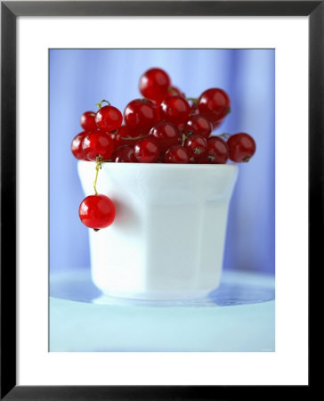 Redcurrants In A Small Pot by Franck Bichon Pricing Limited Edition Print image