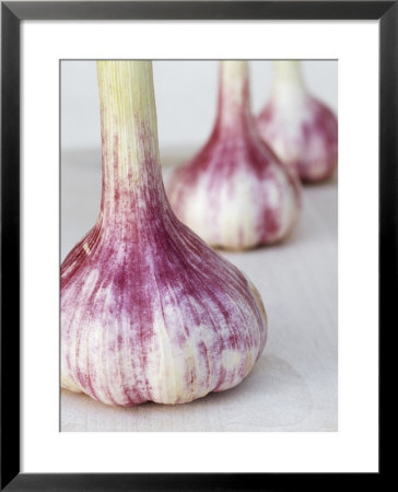 Three Fresh Garlic Bulbs by Linda Burgess Pricing Limited Edition Print image