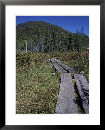 Tamarack Bog Bridge On The Lonesome Lake Trail, New Hampshire, Usa by Jerry & Marcy Monkman Pricing Limited Edition Print image