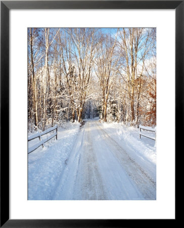 Winter Road In New England by Bill Bachmann Pricing Limited Edition Print image