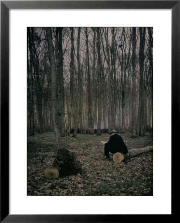 Man Reading A Newspaper In A Forest by Henrie Chouanard Pricing Limited Edition Print image