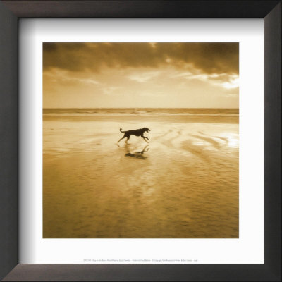 Dog On The Beach, West Wittering by Jo Crowther Pricing Limited Edition Print image