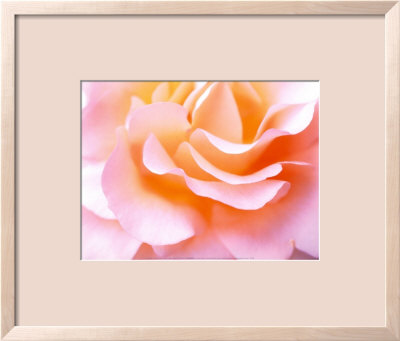 Heart Of Rose by J. A. Kraulis Pricing Limited Edition Print image