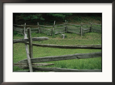 A Traditional Split-Rail Fence At The Farmers Museum by Stephen St. John Pricing Limited Edition Print image