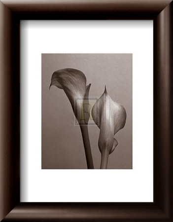 Lily I by Bill Philip Pricing Limited Edition Print image