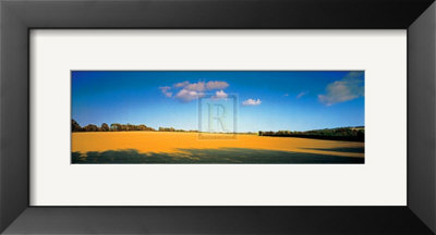 Great Meadow by Chris Simpson Pricing Limited Edition Print image