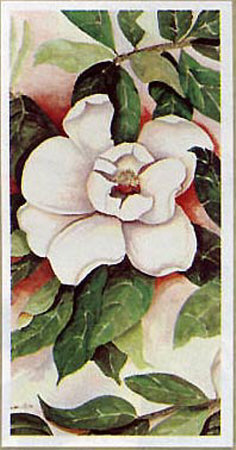 Graniflora Ii by Pat Monroe Pricing Limited Edition Print image