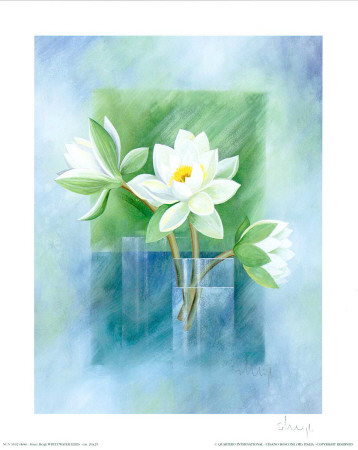 White Water Lilies by Franz Heigl Pricing Limited Edition Print image