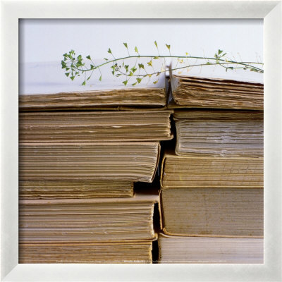Poetic Thought by Cora Buttenbender Pricing Limited Edition Print image