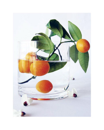 Kumquats by Amelie Vuillon Pricing Limited Edition Print image