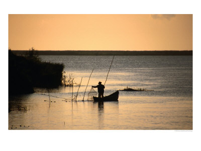 Fisherman Checking Nets At Dawn On Danube Delta, Tulcea, Romania, by Diana Mayfield Pricing Limited Edition Print image