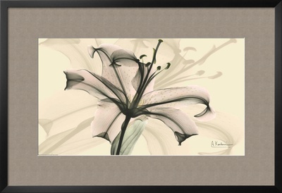Misty Reflection Lily by Albert Koetsier Pricing Limited Edition Print image