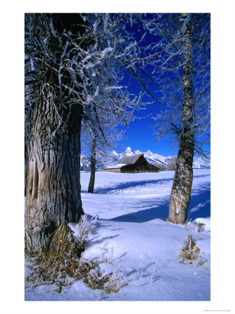 Snow-Covered Moulton Ranch With Trees In Foreground, Grand Teton National Park, Usa by Carol Polich Pricing Limited Edition Print image