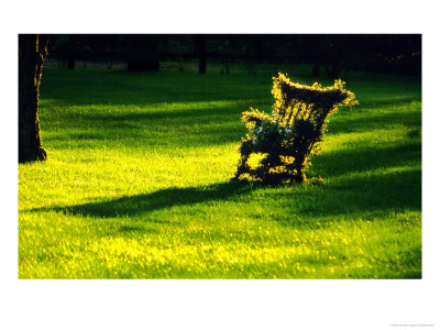 Vermont, Vines On Chair At Sunset by Russell Burden Pricing Limited Edition Print image