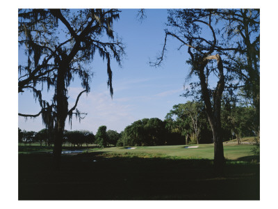 Lake Jovita Golf Club by Stephen Szurlej Pricing Limited Edition Print image
