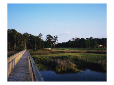 Marshes Around Tidewater Golf Club And Plantation by Stephen Szurlej Pricing Limited Edition Print image