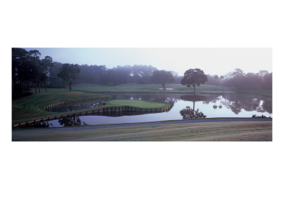 Tpc Sawgrass Stadium Course, Hole 17 by Stephen Szurlej Pricing Limited Edition Print image