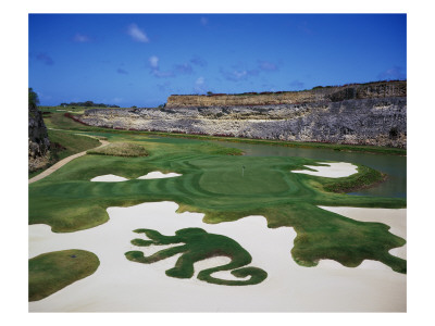 Sandy Lane Country Club Green Monkey, Hole 16 by J.D. Cuban Pricing Limited Edition Print image