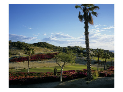 Palmilla, Hole 4 by Stephen Szurlej Pricing Limited Edition Print image