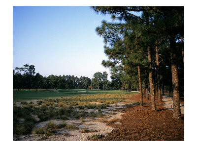 Pinehurst Golf Course No. 2, Hole 12 by Stephen Szurlej Pricing Limited Edition Print image