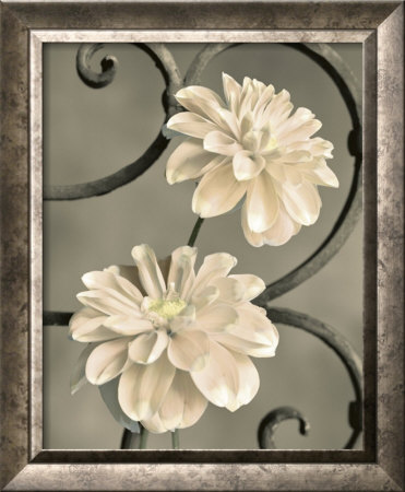 Iron Trellis Iv by Sondra Wampler Pricing Limited Edition Print image