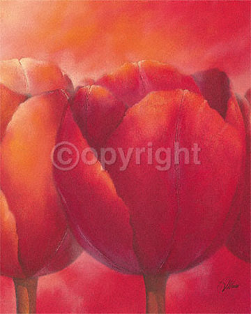 Red Favourite by Alicia Sloan Pricing Limited Edition Print image
