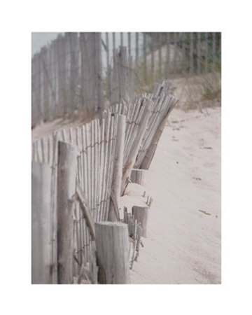 Beach Fence by Tammy Repp Pricing Limited Edition Print image