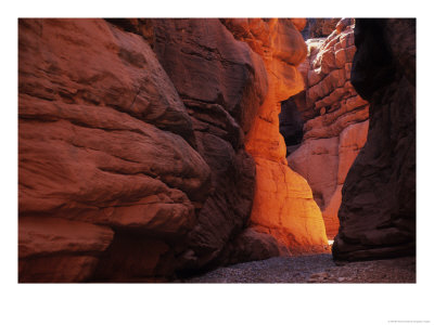 Warm Light Reflects In A Side Canyon In The Grand Canyon, Arizona by Bill Hatcher Pricing Limited Edition Print image