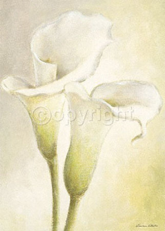 Calla De Luxe by Vivien White Pricing Limited Edition Print image