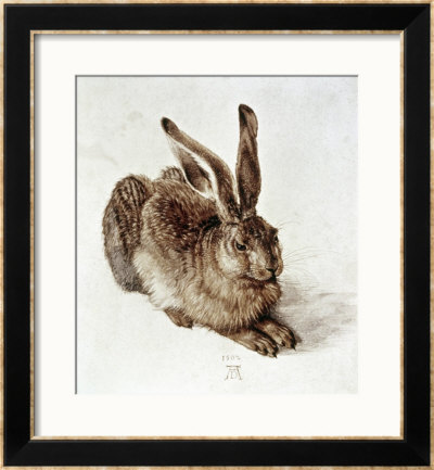 The Young Hare by Albrecht Durer Pricing Limited Edition Print image
