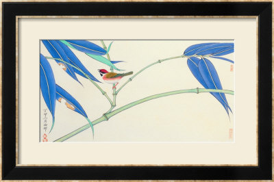 Green Bamboo And Red Bird by Hsi-Tsun Chang Pricing Limited Edition Print image