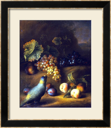 A Parrot With Grapes, Peaches And Plums In A Landscape by Tobias Stranover Pricing Limited Edition Print image