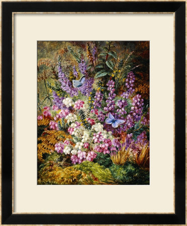 Blue Butterflies And Wildflowers, 1878 by Albert Durer Lucas Pricing Limited Edition Print image