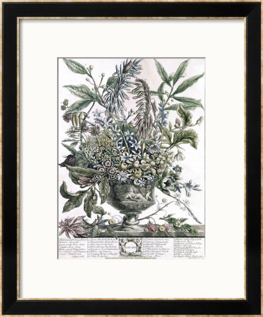 January by H. Fletcher Pricing Limited Edition Print image