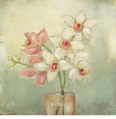Orchid Blossom Iii by Eva Kolacz Pricing Limited Edition Print image