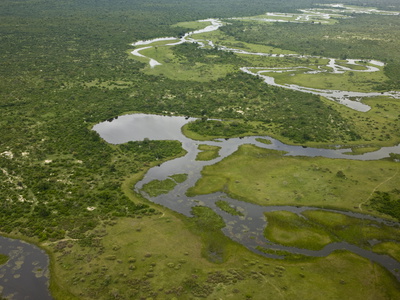 Aerial View Of The Savute Region Of The Okavango Delta by Beverly Joubert Pricing Limited Edition Print image
