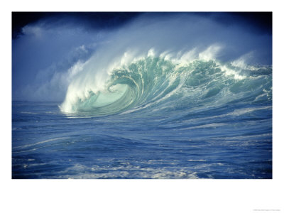 Wave Curling, Hawaii by Vince Cavataio Pricing Limited Edition Print image