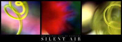 The Secret Life Of Flowers: Silent Air by Alessio Guarino Pricing Limited Edition Print image
