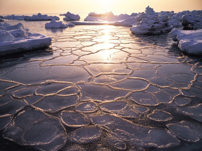 Frigid Looking Water by Masaaki Tanaka Pricing Limited Edition Print image