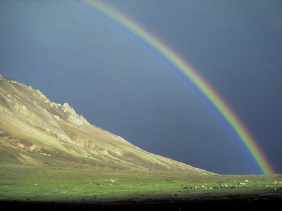 Rainbow by Michihiko Kanegae Pricing Limited Edition Print image