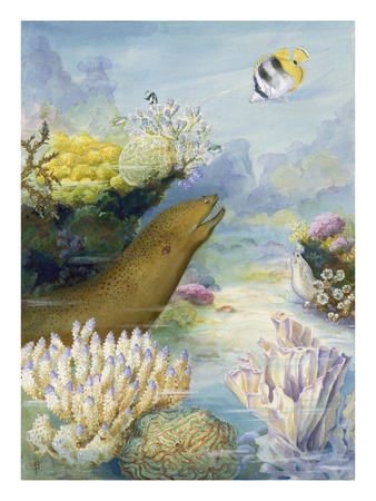 Moray Eels Lurk In Submarine Coral Reef Crevices by National Geographic Society Pricing Limited Edition Print image