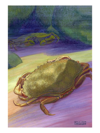 Two Rock Crabs by William H. Crowder Pricing Limited Edition Print image