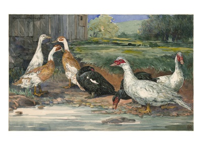 A Painting Of Several Species Of Runner Ducks And Muscovy Ducks by Hashime Murayama Pricing Limited Edition Print image