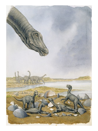 Illustration Of A Group Of Titanosaurs, Including Its Young. by National Geographic Society Pricing Limited Edition Print image