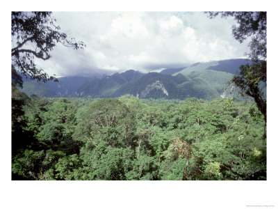Mulu National Park, Borneo, Weather Time-Lapse, 2.30Pm by Rodger Jackman Pricing Limited Edition Print image