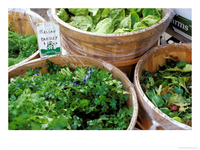 Herbs And Greens, Ferry Building Farmer's Market, San Francisco, California, Usa by Inger Hogstrom Pricing Limited Edition Print image