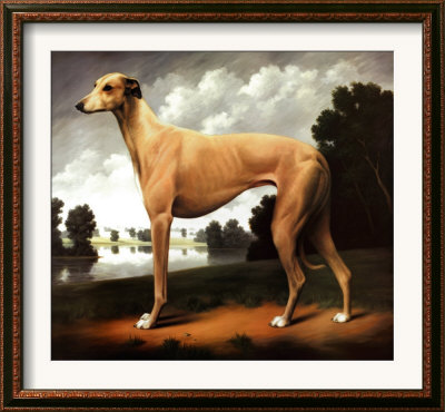 Greyhound In A Parkland Landscape by Christine Merrill Pricing Limited Edition Print image