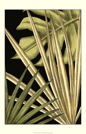 Rustic Tropical Leaves Iv by Ethan Harper Pricing Limited Edition Print image