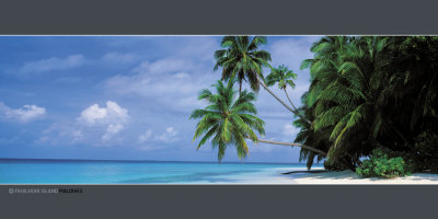 Fihalhohi Island, Maldives by Chad Ehlers Pricing Limited Edition Print image